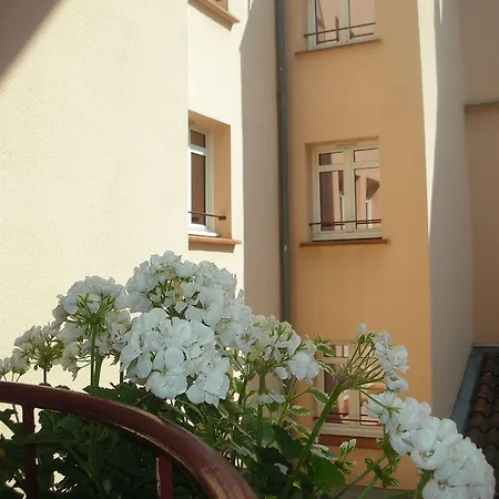 Castellane Toulouse
